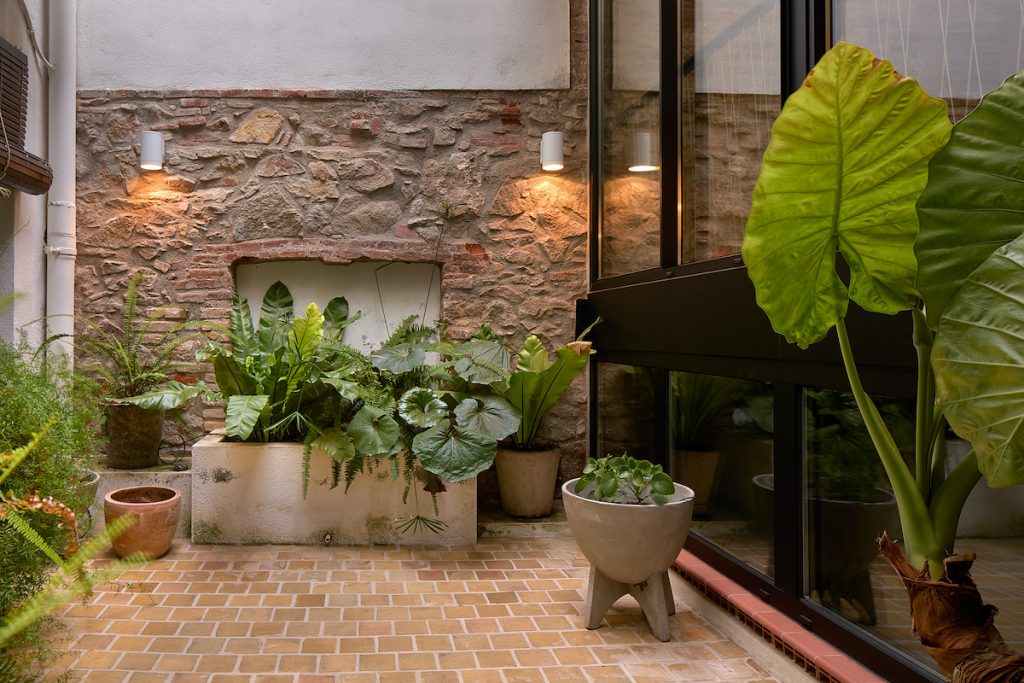 terrassa interior amb vegetacio